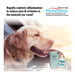 Rx Mometamax Otic Suspension - Jeffers - Animal Health & Wellness > Ear Care