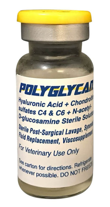 Rx Polyglycan x 10 ML vial - Jeffers - Animal Health & Wellness > Medicine