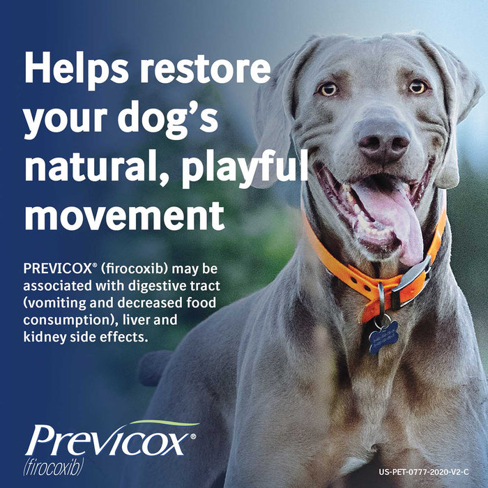 Rx Previcox Chew Tabs for Dogs - Jeffers - Animal Health & Wellness > Medicine