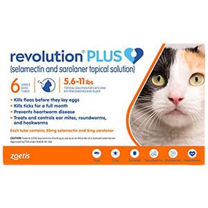 Rx Revolution Plus Feline, Topical - Jeffers - Animal Health & Wellness > Flea & Tick Control