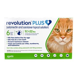 Rx Revolution Plus Feline, Topical - Jeffers - Animal Health & Wellness > Flea & Tick Control