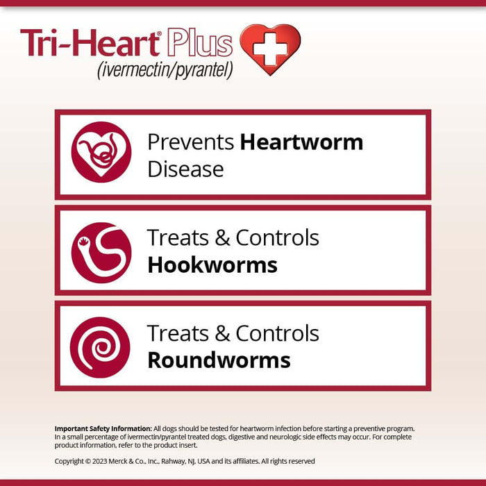 Rx Tri - Heart Plus Chewable Tablets for Dogs, 6 count - Jeffers - Animal Health & Wellness > Medicine