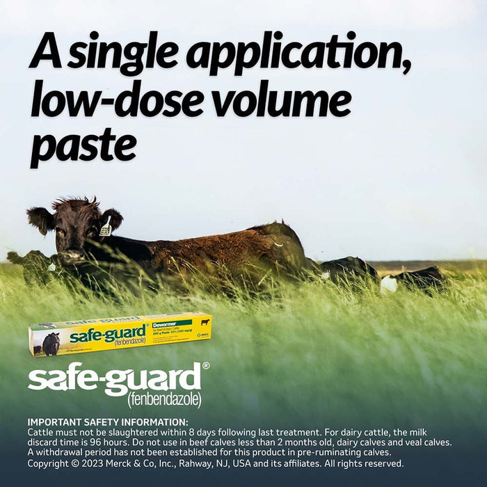 Safe - Guard Dewormer Paste - Jeffers - Animal Health & Wellness > Medicine