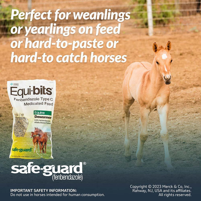 Safe - Guard Equi - Bits, 1.25 lb - Jeffers - Animal Health & Wellness > Medicine