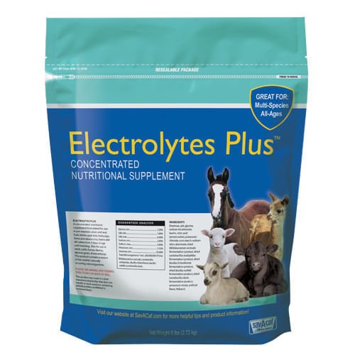 Sav - A - Caf Electrolytes Plus - Jeffers - Animal Health & Wellness > Vitamins & Supplements