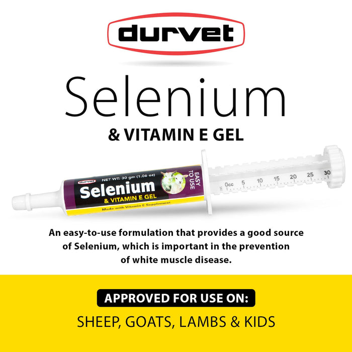 Selenium & Vitamin E Oral Gel - Jeffers - Animal Health & Wellness > Vitamins & Supplements