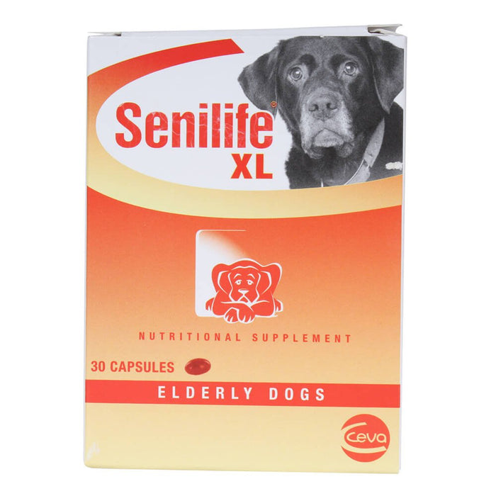 Senilife XL Nutritional Supplement for Elderly Dogs, 30 ct - Jeffers - Animal Health & Wellness > Vitamins & Supplements