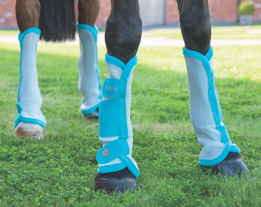 Arma Fly Boots, Set of 4 - Teal  