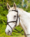 Shires Avignon Woodside Bridle - Jeffers - Horse Supplies > Horse Tack > Bridles & Headstalls