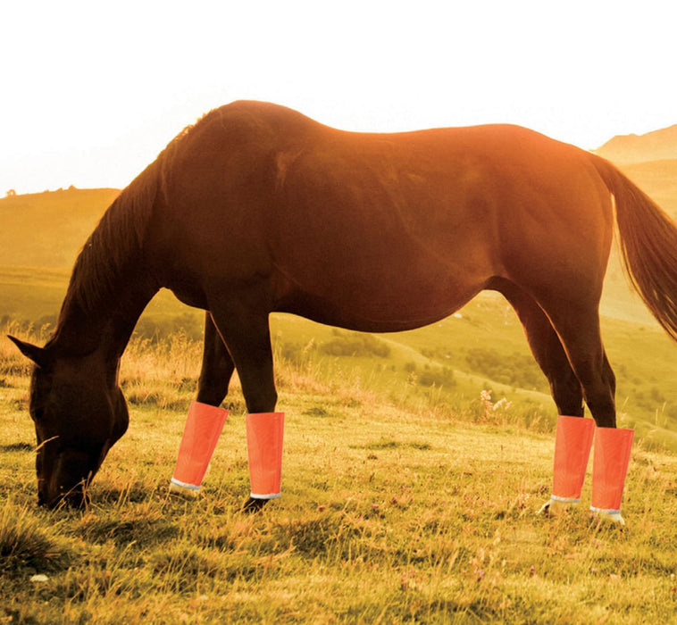 ShooFly Leggins for Medium Horse, 4 - pack - Jeffers - Horse Supplies > Horse Boots & Leg Wraps