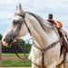 Showman Beaded Cheetah Headstall & Breast Collar - Jeffers - Horse Supplies > Horse Tack > Tack Sets