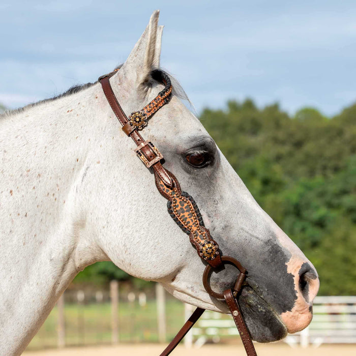 Showman Cheetah & Buckstitch Tack Set - Jeffers - Horse Supplies > Horse Tack > Tack Sets