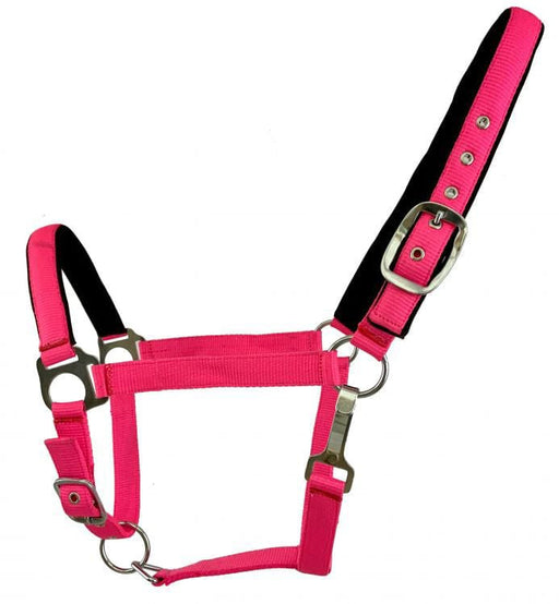 Showman Fluorescent Halters, Full - Jeffers - Horse Supplies > Horse Tack > Horse Halters