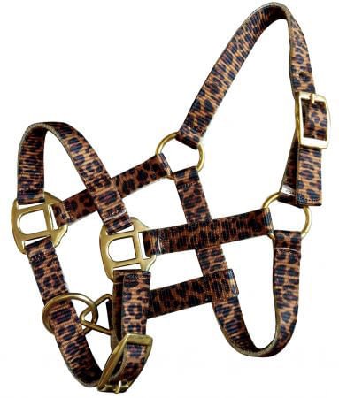 Showman Mini Halter in Patterns - Jeffers - Horse Supplies > Horse Tack > Horse Halters