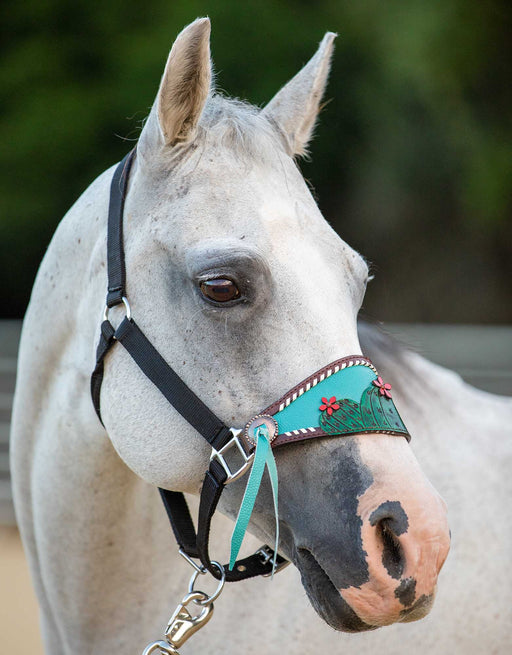 Showman Painted Cactus & 3D Flower Bronc Halter - Jeffers - Horse Supplies > Horse Tack > Horse Halters