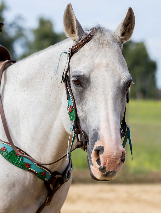 Showman Painted Cactus & 3D Flower Tack Set - Jeffers - Horse Supplies > Horse Tack > Tack Sets