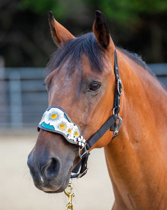 Showman Poppy Flower Bronc Nose Halter - Jeffers - Horse Supplies > Horse Tack > Horse Halters