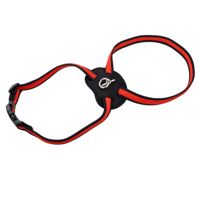 Size Right Mesh Dog Harness - Jeffers - Dog Supplies > Dog Apparel > Dog Collars, Harnesses, & Leashes