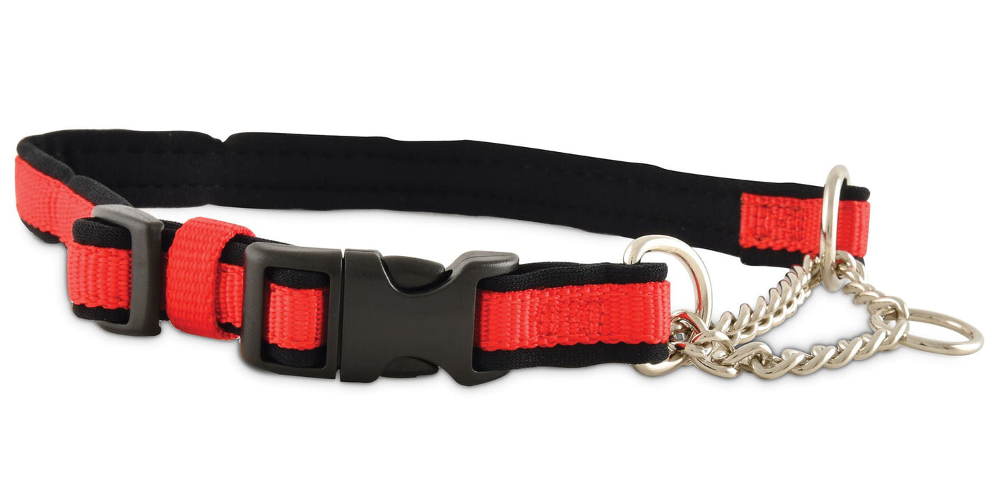 Small Adjustable Limited - Closure Training Collar - Jeffers - Dog Supplies > Dog Apparel > Dog Collars, Harnesses, & Leashes