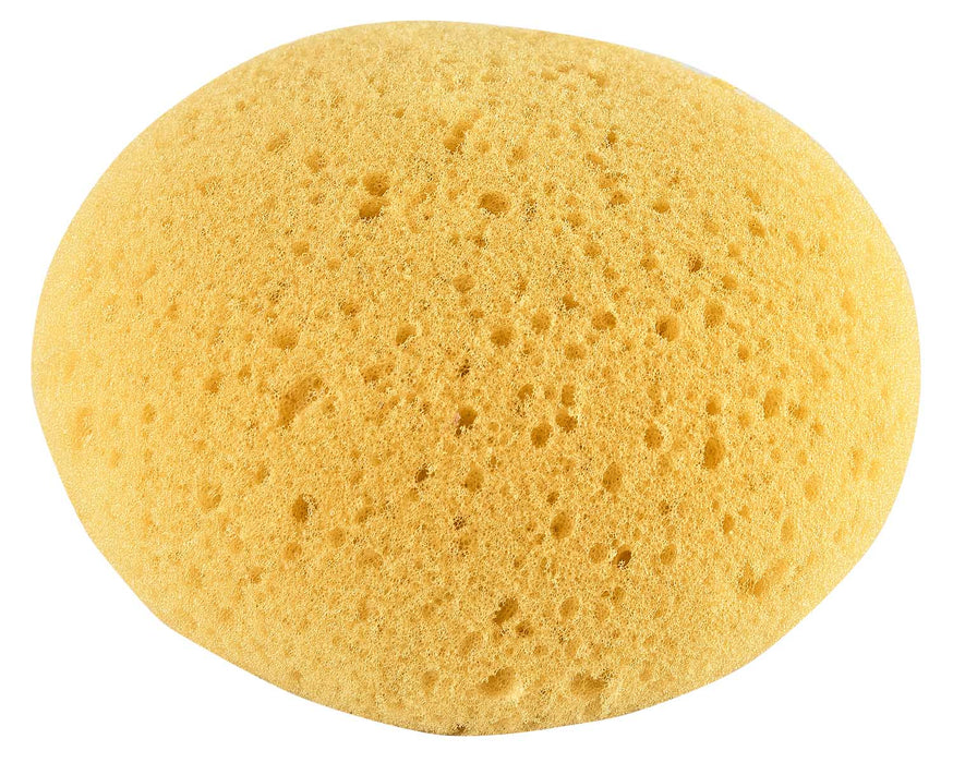 Sponges - Jeffers - Farm & Ranch Supplies > Grooming Supplies