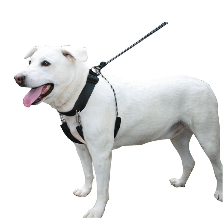 Sporn Big Dog Halter, Black - Jeffers - Dog Supplies > Dog Apparel > Dog Collars, Harnesses, & Leashes