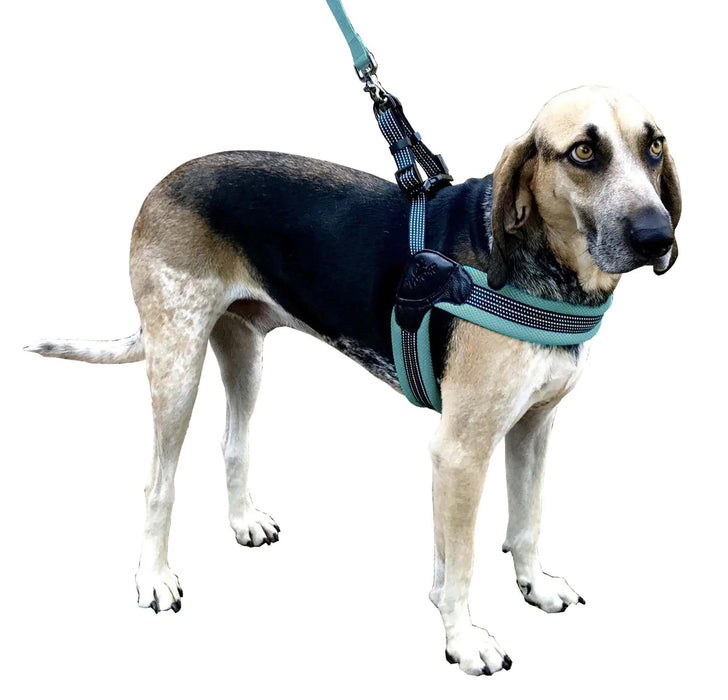 Sporn Easy Fit Mesh Harness, Blue - Jeffers - Dog Supplies > Dog Apparel > Dog Collars, Harnesses, & Leashes