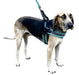 Sporn Easy Fit Mesh Harness, Gray - Jeffers - Dog Supplies > Dog Apparel > Dog Collars, Harnesses, & Leashes