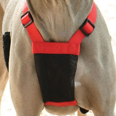 Sporn Non - Pulling Mesh Harness, Large/X - Large - Jeffers - Dog Supplies > Dog Apparel > Dog Collars, Harnesses, & Leashes