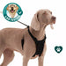 Sporn Non - Pulling Mesh Harness, Large/X - Large - Jeffers - Dog Supplies > Dog Apparel > Dog Collars, Harnesses, & Leashes