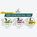 Sporn Non - Pulling Mesh Harness, Large/X - Large - Jeffers - Dog Supplies > Dog Apparel > Dog Collars, Harnesses, & Leashes