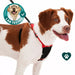 Sporn Non - Pulling Mesh Harness, Medium - Jeffers - Dog Supplies > Dog Apparel > Dog Collars, Harnesses, & Leashes