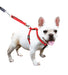 Sporn Ultimate Control Harness, Black - Jeffers - Dog Supplies > Dog Apparel > Dog Collars, Harnesses, & Leashes