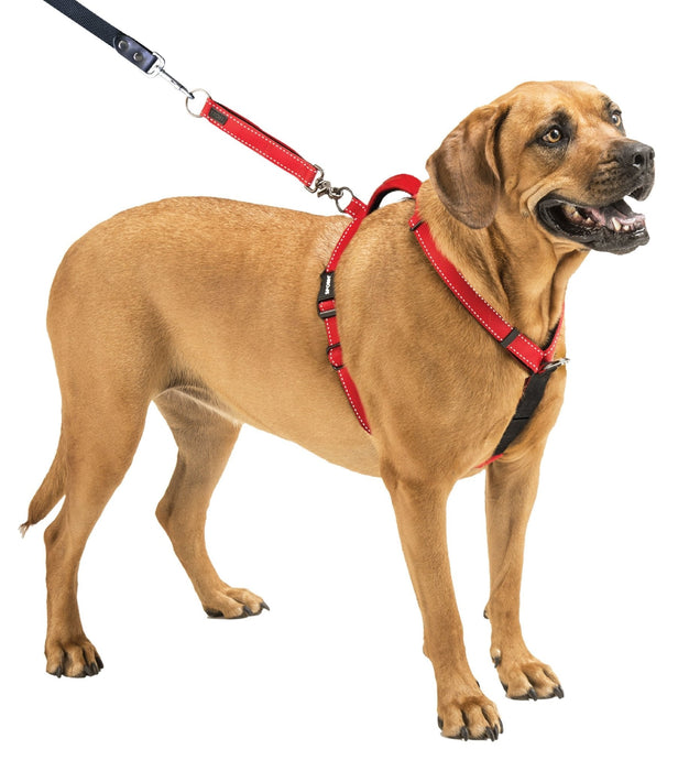 Sporn Ultimate Control Harness, Black - Jeffers - Dog Supplies > Dog Apparel > Dog Collars, Harnesses, & Leashes