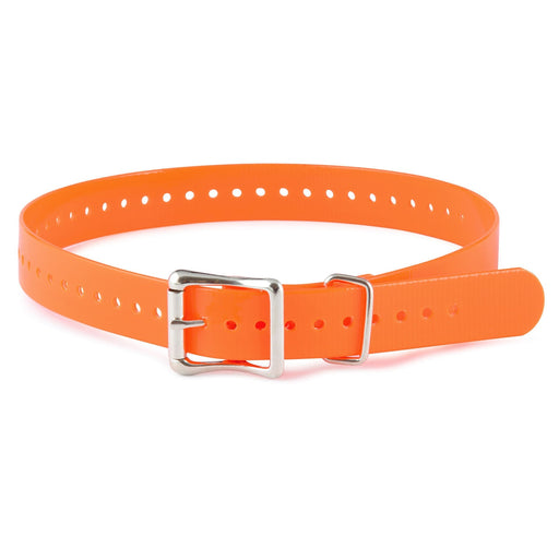 SportDOG Collar Strap, 1' x 27' - Jeffers - Dog Supplies > Dog Apparel > Dog Collars, Harnesses, & Leashes