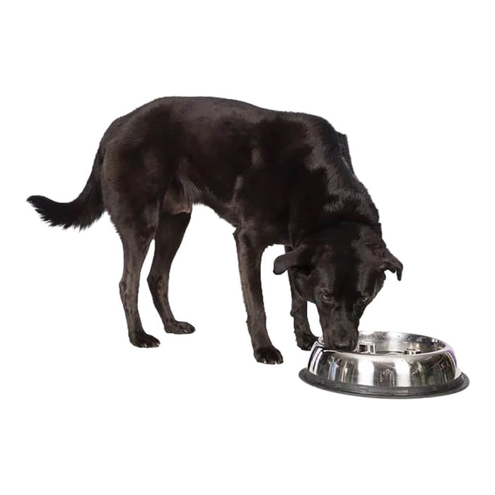 Stainless Steel Dog Bowl - Jeffers - 