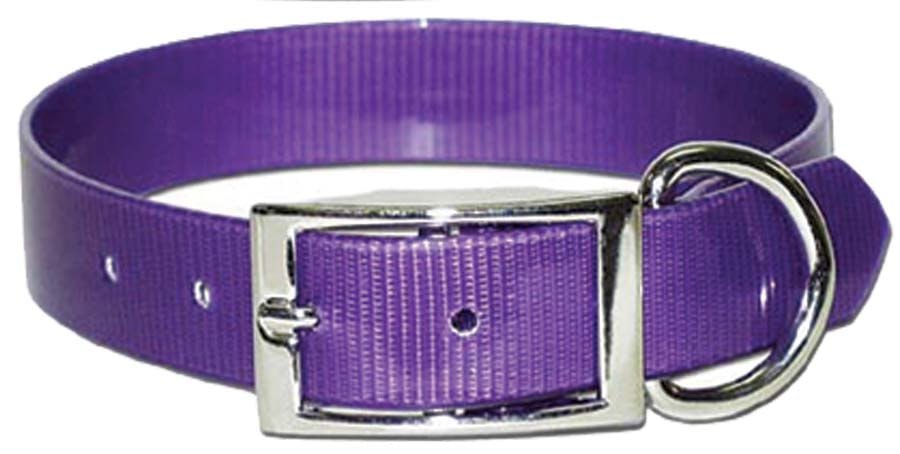 Sunglo Dog Collars - Jeffers - Dog Supplies > Dog Apparel > Dog Collars, Harnesses, & Leashes