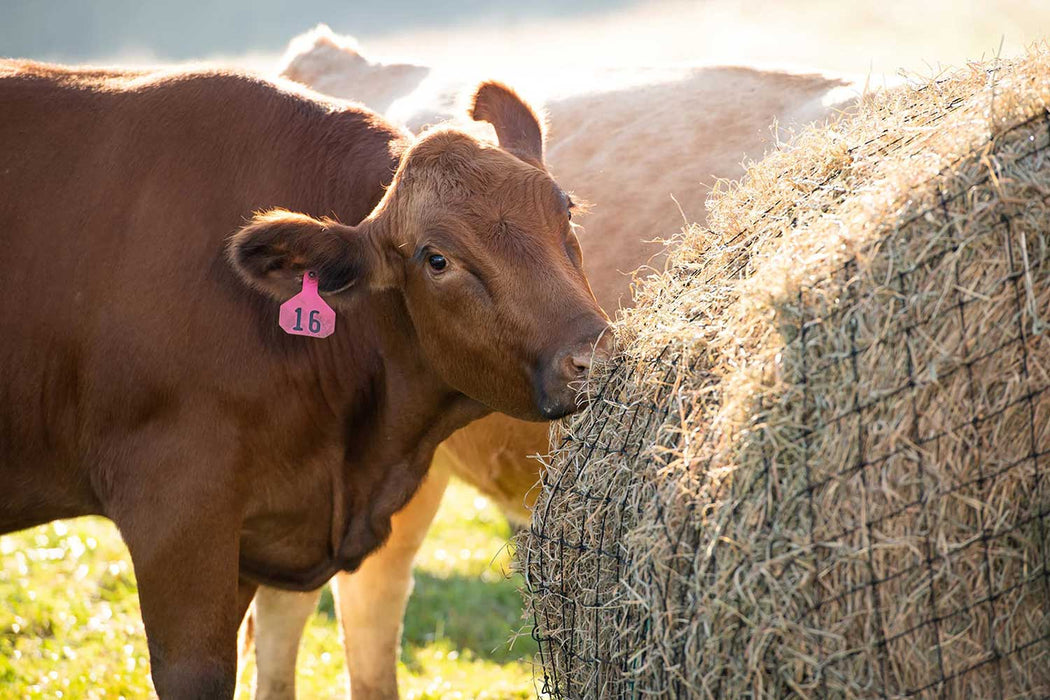 Texas Haynet Livestock Round Bale Net - Jeffers - Farm & Ranch Supplies > Livestock Feeders & Waterers