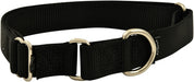 The Premier Collar, 1' x 10' - 16' - Jeffers - Dog Supplies > Dog Apparel > Dog Collars, Harnesses, & Leashes