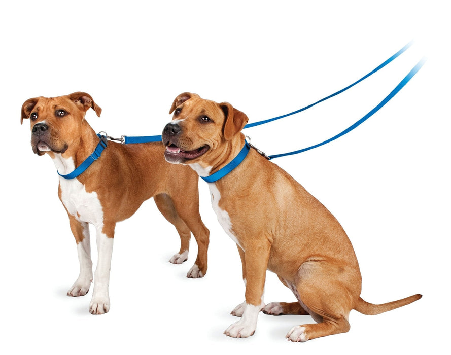 The Premier Leash, 3/4' x 6 ft - Jeffers - Dog Supplies > Dog Apparel > Dog Collars, Harnesses, & Leashes