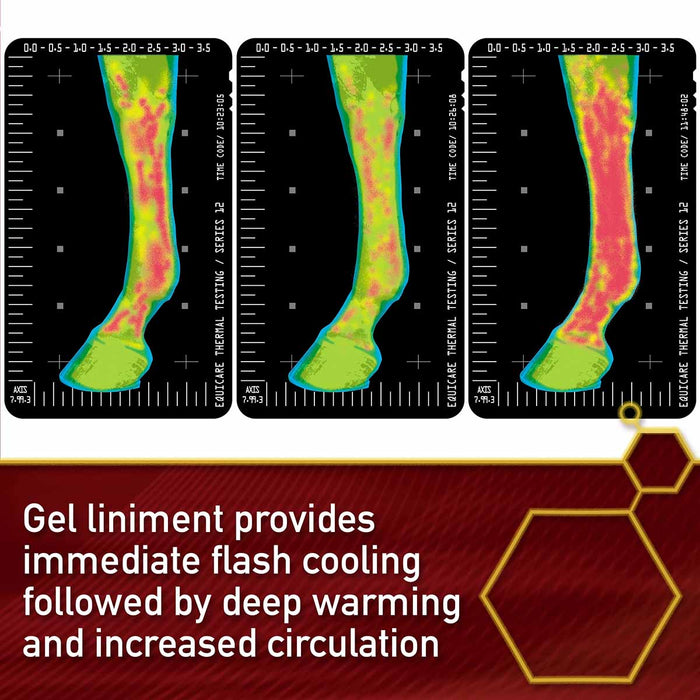 Thermaflex Liniment Gel with MSM, 12 oz - Jeffers - Animal Health & Wellness > Joint Health