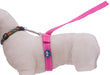 ThunderLeash Dog Leash - Jeffers - Dog Supplies > Dog Apparel > Dog Collars, Harnesses, & Leashes