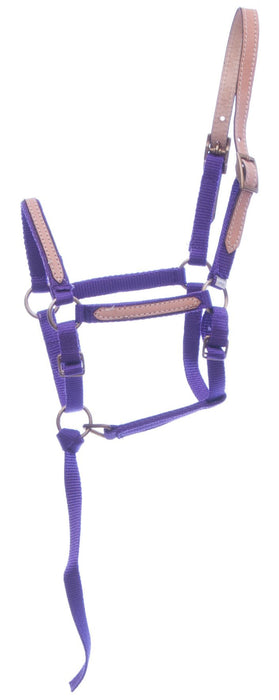 Tough1 Miniature Nylon Breakaway Halter, Large - Jeffers - Horse Supplies > Horse Tack > Horse Halters