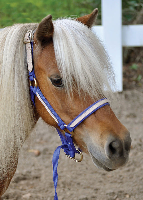 Tough1 Miniature Nylon Breakaway Halter, Large - Jeffers - Horse Supplies > Horse Tack > Horse Halters