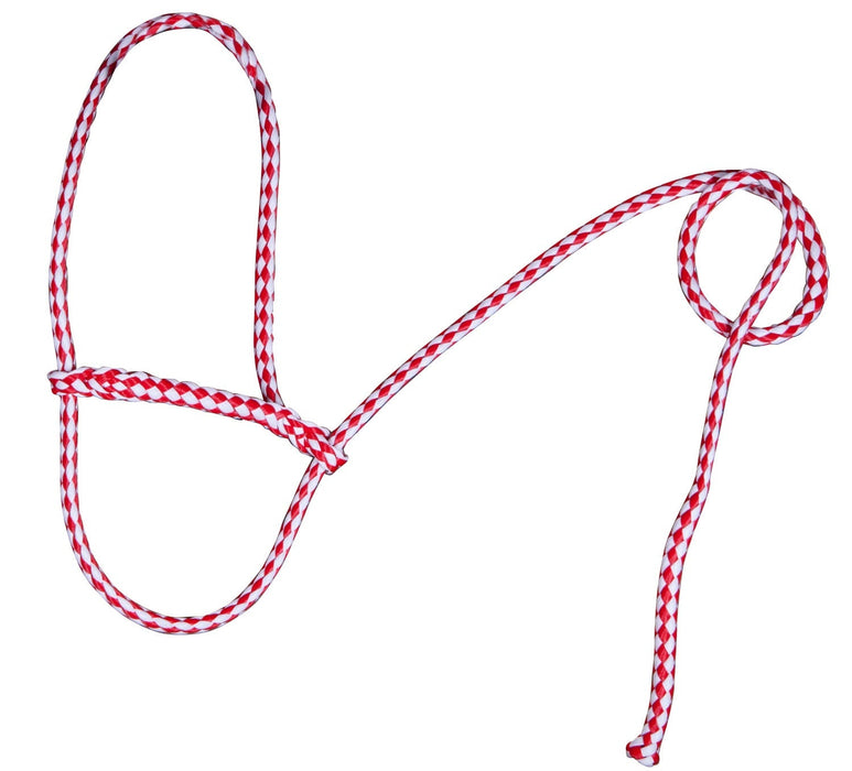 Troyer's Braided Poly Sheep Halter - Jeffers - Sheep Supplies > Sheep Supplies