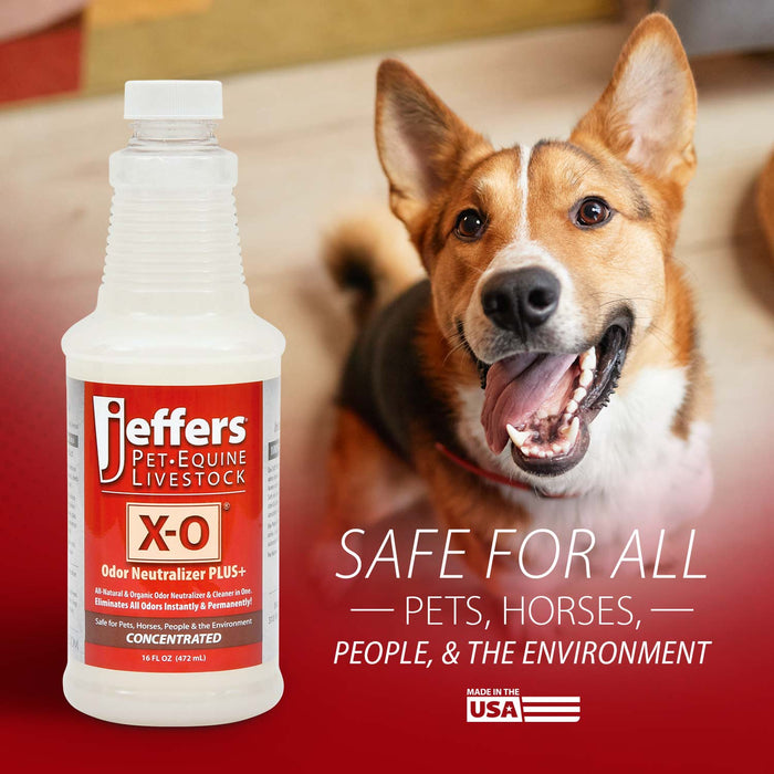 X-O Pet Odor Neutralizer Plus + Cleaner Concentrate by Jeffers