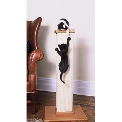 Ultimate Cat Scratching Post - Jeffers - Cat Supplies > Cat Toys