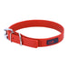 Ultrahund Play Regular Dog Collar, 3/4' Wide, Fits 12.5' to 15.5' - Jeffers - Dog Supplies > Dog Apparel > Dog Collars, Harnesses, & Leashes