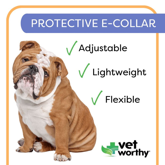 Vet Worthy Protective Cone Collar - Jeffers - Animal Health & Wellness > Medical Supplies