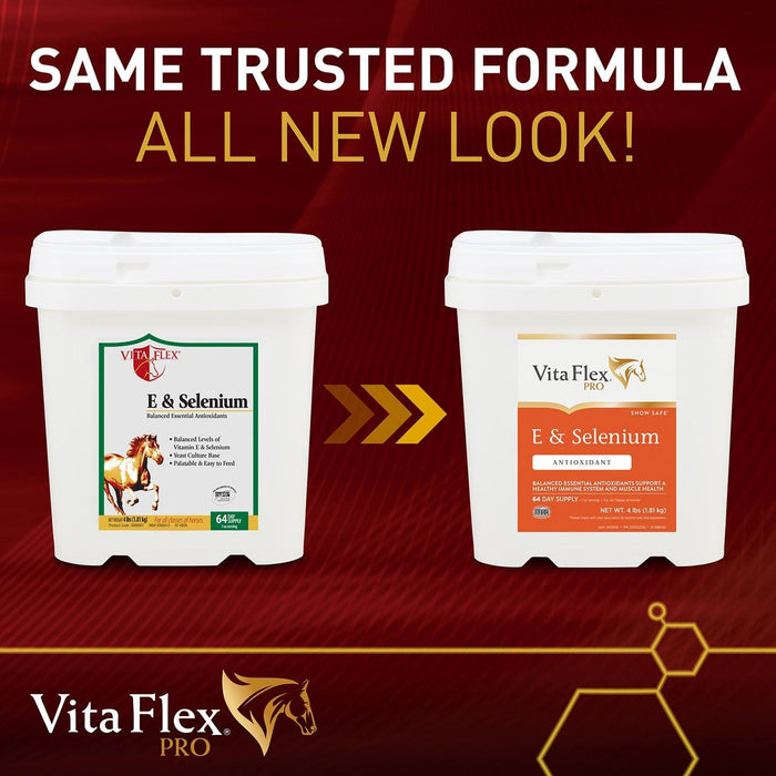 Vita Flex E and Selenium Supplement for Horses, Balanced Essential Antioxidants - Jeffers - Animal Health & Wellness > Vitamins & Supplements