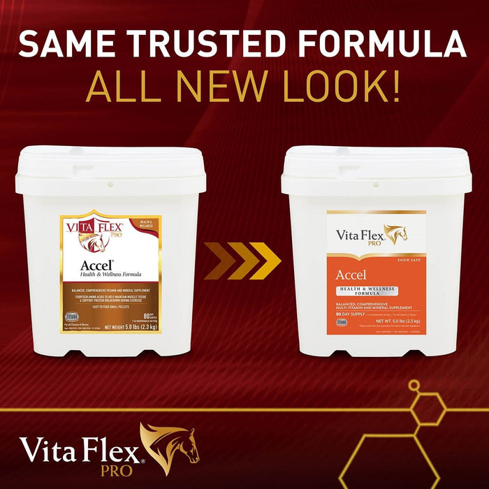 Vita Flex Pro Accel Health & Wellness Formula, Supplement for Horses - Jeffers - Animal Health & Wellness > Vitamins & Supplements